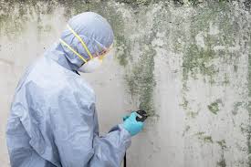 Best Mold Removal for HVAC Installations in Barbourmeade, KY